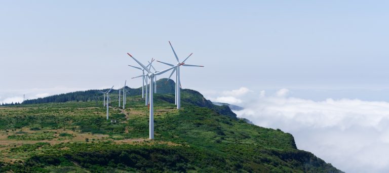RADER’s Environmental & Sustainability Commitment